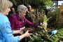 Botanick zahrada otevr svoji nejkrsnj jarn vstavu 