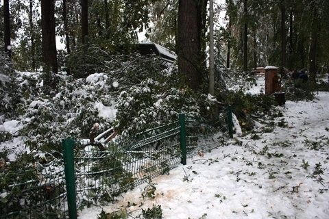 FOTKA - ZOO Liberec bude do pondl 19. jna uzavena