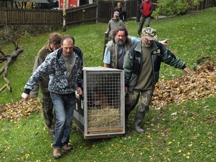 FOTKA - Dnsk zoo u m svho Edu!