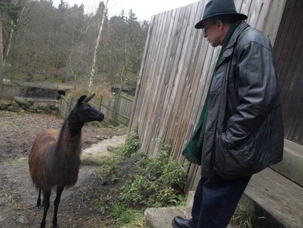 FOTKA - Zoo Dn navtvil Jaroslav Uhl