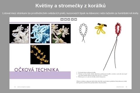 FOTKA - Kvtiny a stromeky z korlk