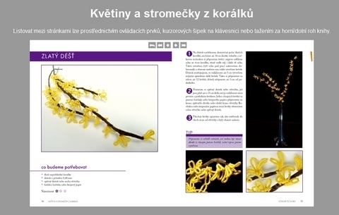 FOTKA - Kvtiny a stromeky z korlk