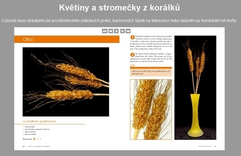 FOTKA - Kvtiny a stromeky z korlk