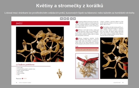 FOTKA - Kvtiny a stromeky z korlk