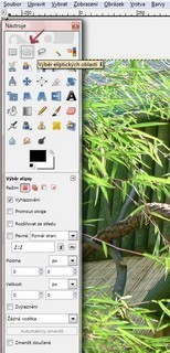 FOTKA - Vyrob si sama: Efektn rmovn fotografi v programu Gimp 