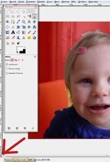 FOTKA - Vyrob si sama: Jak udlat vez z fotografie v programu Gimp 