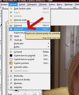 FOTKA - Vyrob si sama: Jak udlat vez z fotografie v programu Gimp 