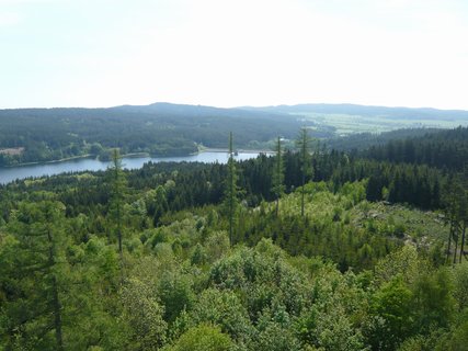 FOTKA - V lesch u hradu Landtejn naleznete vojensk bunkry