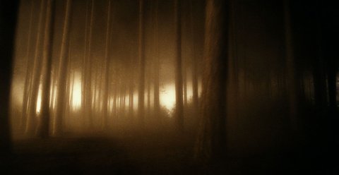 FOTKA - Vlkodlak - nov horor pro vechny milovnky temna