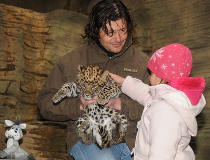 FOTKA - Levhart mandusk je ozdobou Olomouck ZOO