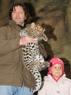 FOTKA - Levhart mandusk je ozdobou Olomouck ZOO