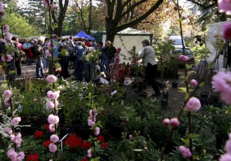 FOTKA - Flora Olomouc 2010 - mezinrodn zahradnick vstava