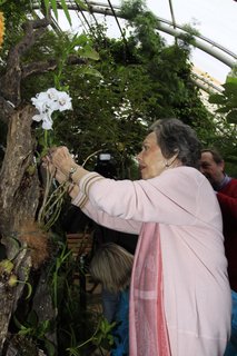 FOTKA - Botanick zahrada otevr svoji nejkrsnj jarn vstavu 