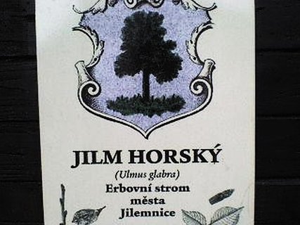 FOTKA - Jilemnice s atmosfrou horskho msteka