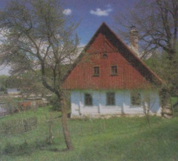 FOTKA - Borov u Nchoda