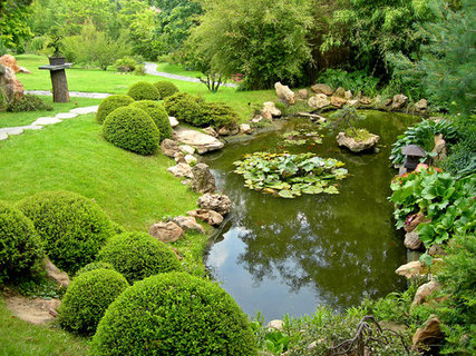 FOTKA - Voda v zahrad 