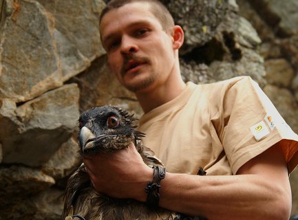 FOTKA - ZOO Liberec  vyputn orlosupa, narozen rysa