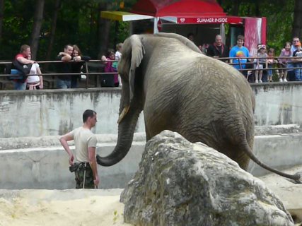 FOTKA - Vlet na Slovensko  Zmek Bojnice + ZOO