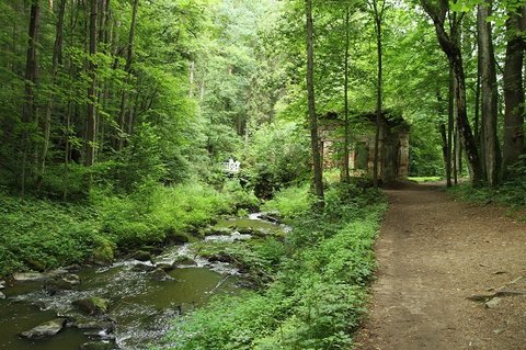 FOTKA - Bohemia Incognita - Nov Hrady a Cukntejn