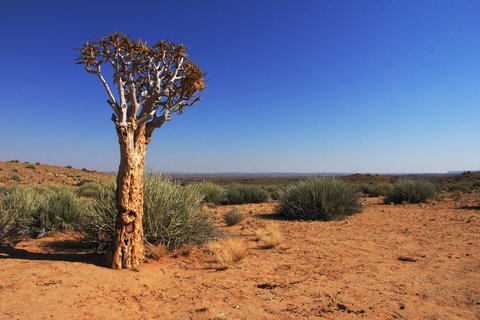 FOTKA - Na cest po zpadn Namibii
