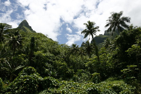 FOTKA - Na cest po ostrov Moorea