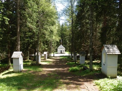 FOTKA - Nov sovinec v Borovch Ladech