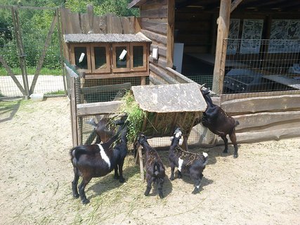 FOTKA - N vlet do zooparku Zjezd aneb pjemn strven odpoledne kousek od Prahy