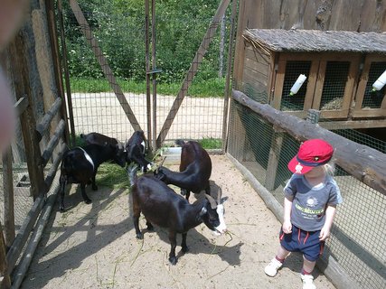 FOTKA - N vlet do zooparku Zjezd aneb pjemn strven odpoledne kousek od Prahy