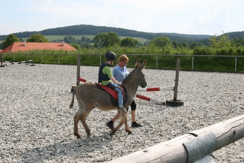 FOTKA - Podblanick rj dt a zbavy