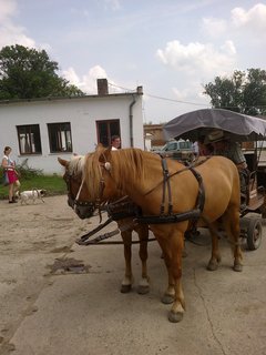 FOTKA - N dnen vlet do Zooparku Zeln a na p