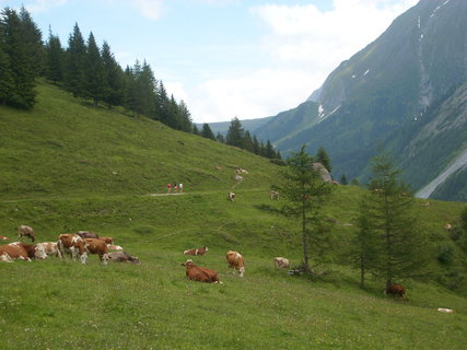 FOTKA - Vzhru na ledovec Hintertux