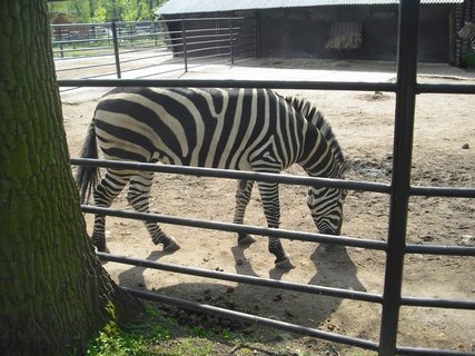 FOTKA - Kam jet na vlet s dtmi? Do Zoo Hodonn