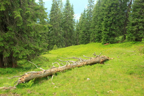 FOTKA - Rodinn tra z Leogangu do Saalbach-Hinterglemmu