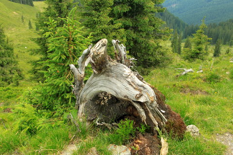 FOTKA - Rodinn tra z Leogangu do Saalbach-Hinterglemmu