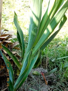 FOTKA - Moje zahradnien