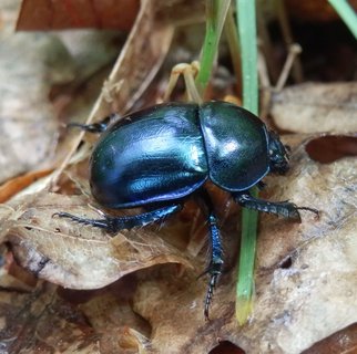 FOTKA - Nad Berounkou pod Tetnem