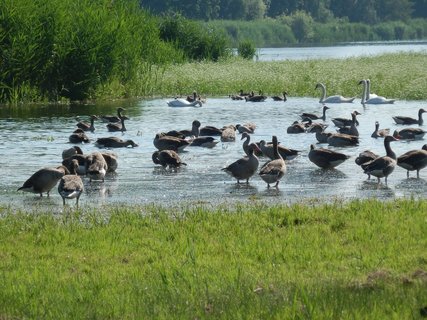 FOTKA - Rozhledny pod Plavou