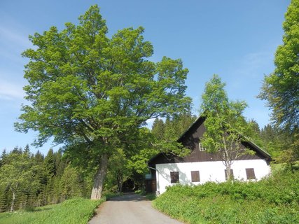 FOTKA - Touln zapomenutou umavou - vajglova Lada