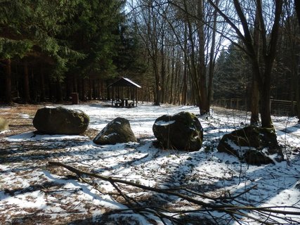 FOTKA - Penick okruh - prochzka lesn stezkou