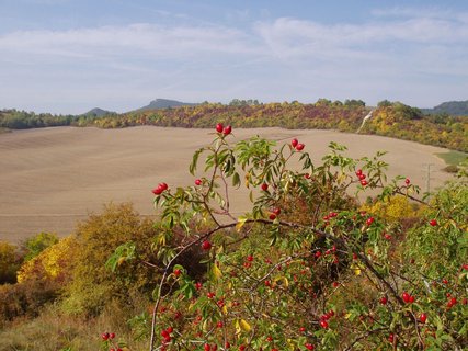 FOTKA - Pvabn Ploskovice