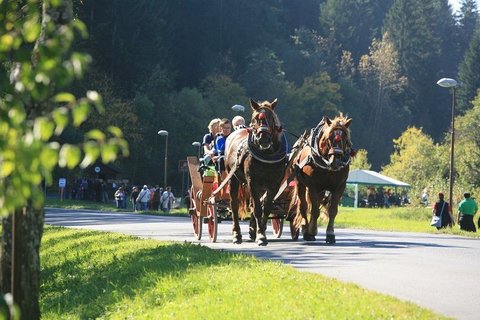 FOTKA - Navtivte svtek jdla na Valasku: Karlovsk gastrofestival