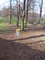 Discgolf, krsn sport pro vechny