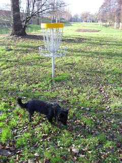 FOTKA - Discgolf, krsn sport pro vechny