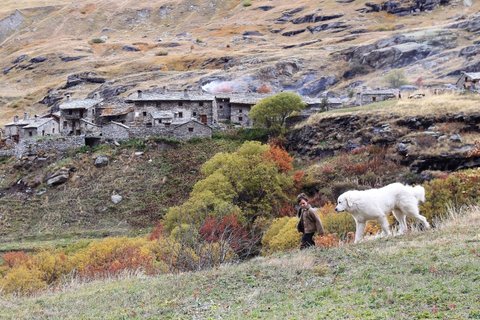 FOTKA - Dobrodrun film Bella a Sebastin