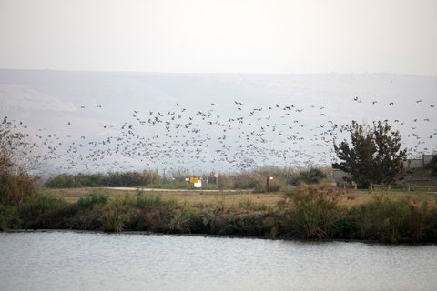 FOTKA - Dobrodrun film Igor a cesta tanch ptk