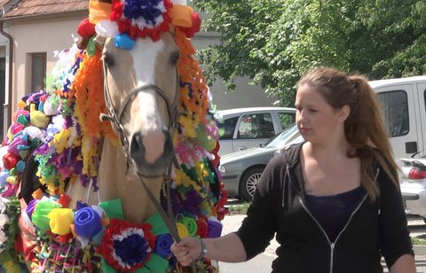 FOTKA - Nae tradice - Jzda krl