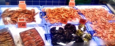 FOTKA - D se jst nco, co na ns kouk nebo sebou jet mrsk?