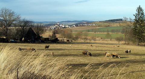 FOTKA - Poznvme umavu - Strov a okol