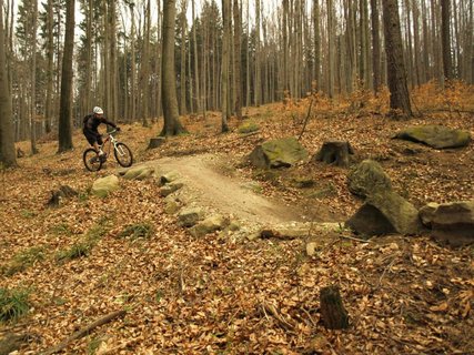 FOTKA - Jsem cyklista, nikoli biker!