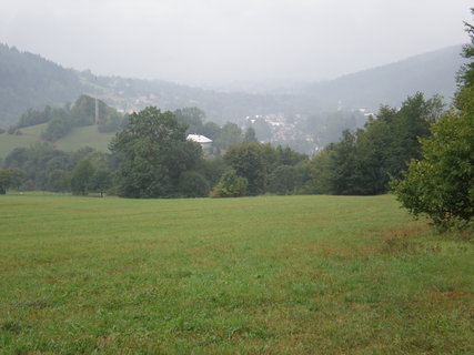 FOTKA - Nemil probuzen na horch